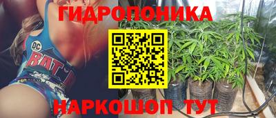 индика Изобильный